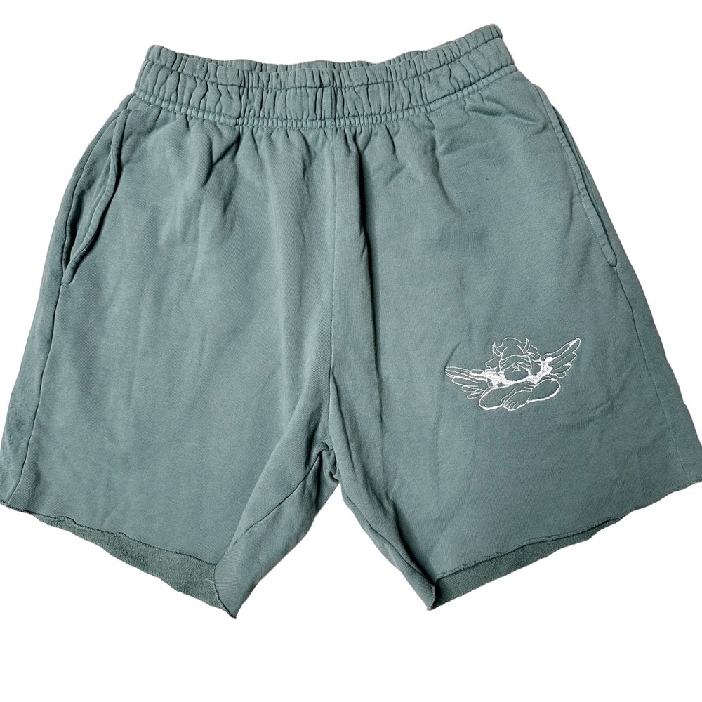 NWOT Boys Lie Classic V2 Shorts in Lead Women’s M